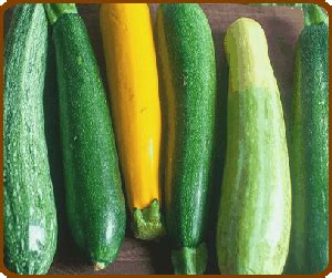 How many calories are in courgette provencale - calories, carbs, nutrition