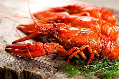 How many calories are in crayfish - calories, carbs, nutrition