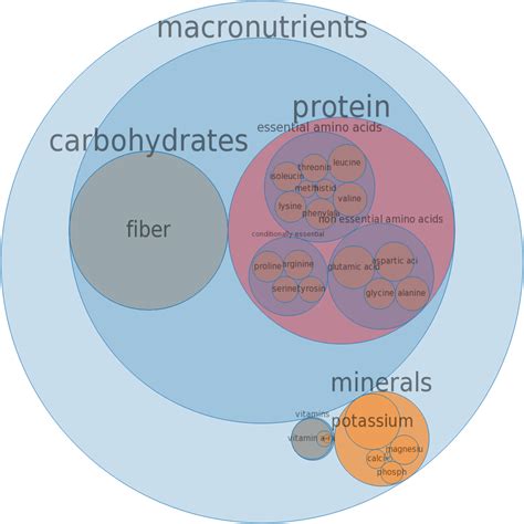 How many calories are in dock - cooked, boiled, drained, without salt - calories, carbs, nutrition