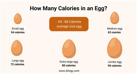 How many calories are in egg wash - calories, carbs, nutrition