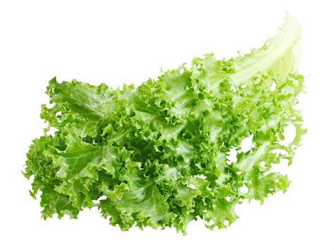 How many calories are in endive, raw - calories, carbs, nutrition