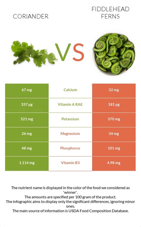 How many calories are in fiddlehead ferns - calories, carbs, nutrition