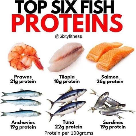 How many calories are in fish oil - calories, carbs, nutrition