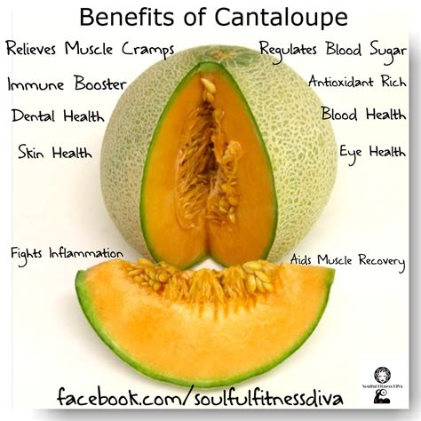 How many calories are in fresh cantaloupe wedges - calories, carbs, nutrition