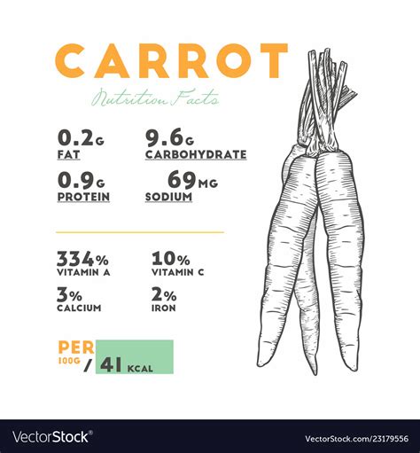 How many calories are in fresh carrots with dill - calories, carbs, nutrition