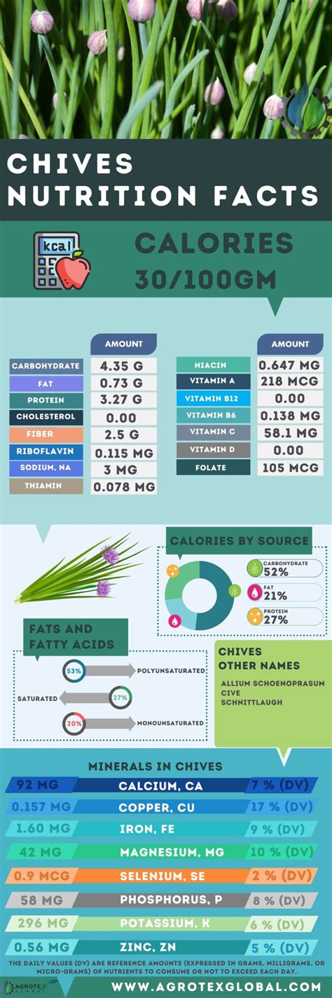 How many calories are in fresh chopped chives (63408.0) - calories, carbs, nutrition
