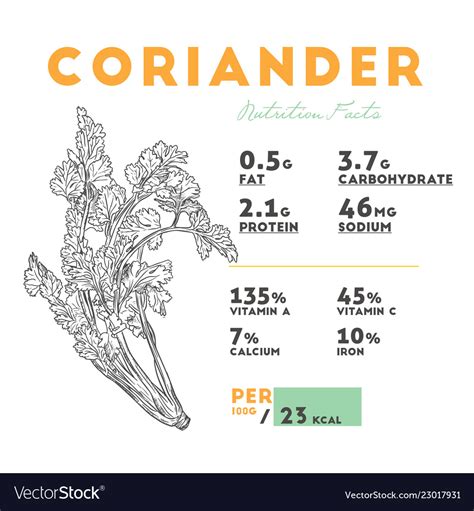 How many calories are in fresh coriander - calories, carbs, nutrition