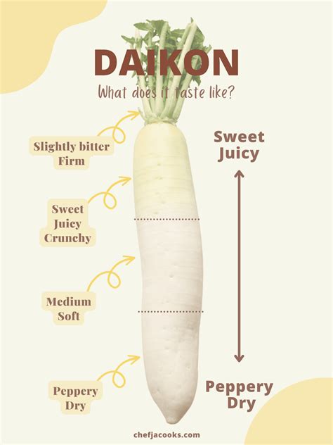 How many calories are in fresh daikon radish (74414.1) - calories, carbs, nutrition