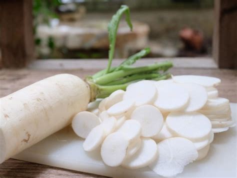 How many calories are in fresh daikon radish matchsticks (74414.1) - calories, carbs, nutrition