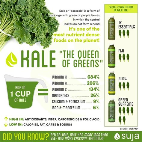 How many calories are in fresh kale juice (67768.0) - calories, carbs, nutrition