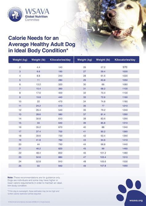 How many calories are in hotlanta dog 1/4 pound - calories, carbs, nutrition