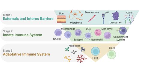 How many calories are in immune defense - calories, carbs, nutrition