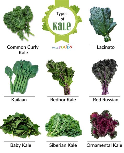 How many calories are in kale, spring greens & cashew - calories, carbs, nutrition