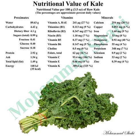 How many calories are in kale frozen steamed 2 oz - calories, carbs, nutrition