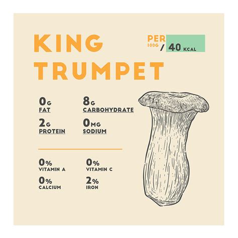 How many calories are in king trumpet mushroom (81659.0) - calories, carbs, nutrition