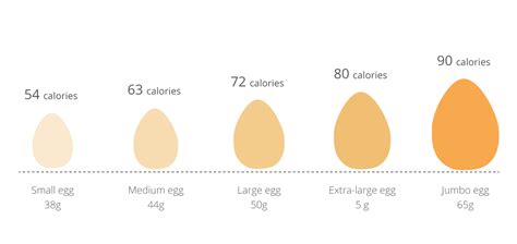 How many calories are in large egg - calories, carbs, nutrition