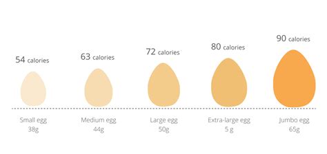 How many calories are in large eggs - calories, carbs, nutrition