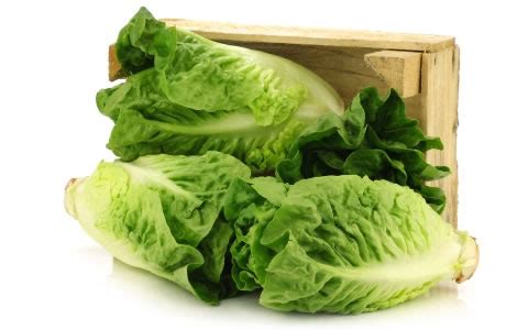 How many calories are in little gem lettuce - calories, carbs, nutrition