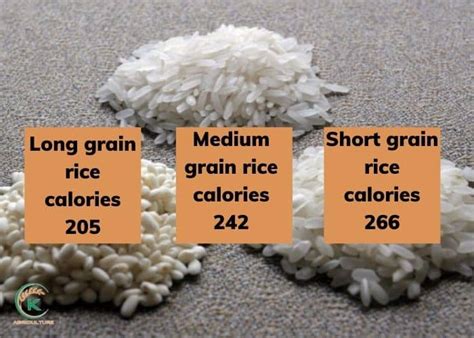 How many calories are in long grain rice - calories, carbs, nutrition