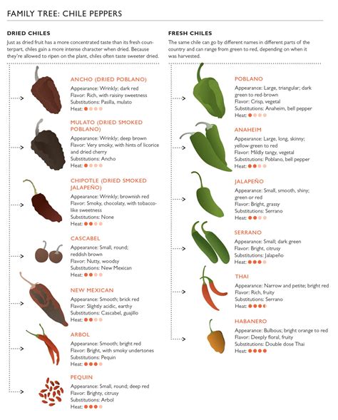 How many calories are in mexican chili - calories, carbs, nutrition