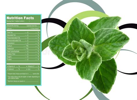 How many calories are in mint - calories, carbs, nutrition