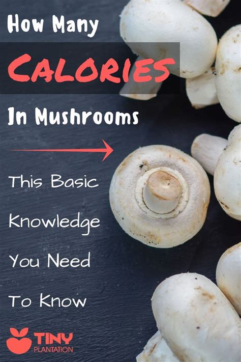 How many calories are in mushroom bisque (mindful) - calories, carbs, nutrition