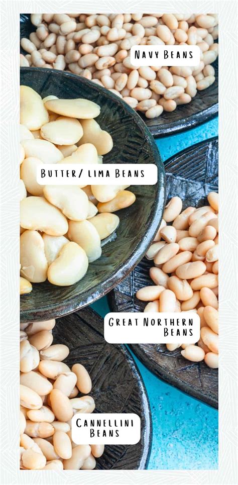 How many calories are in northern white beans with artichokes, northern beans - calories, carbs, nutrition