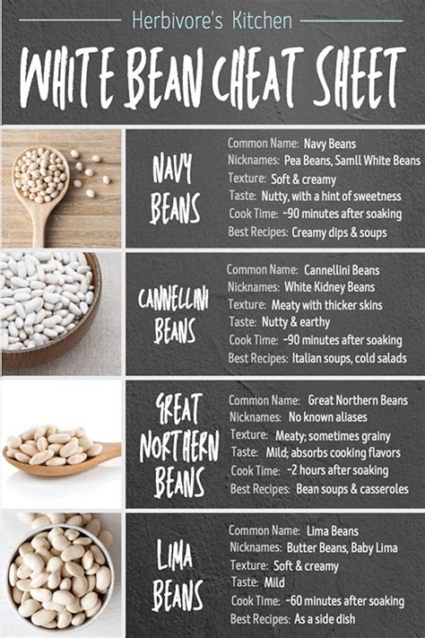 How many calories are in northern white beans with artichokes, white beans - calories, carbs, nutrition