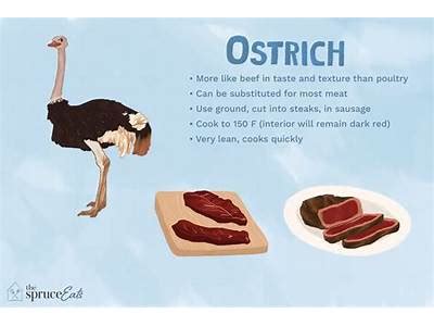How many calories are in ostrich stick - calories, carbs, nutrition