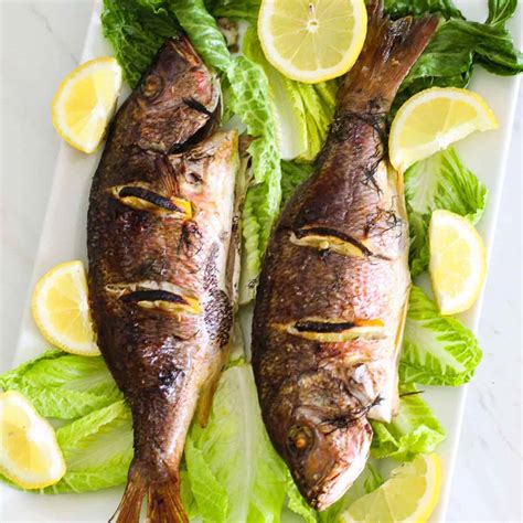 How many calories are in oven roasted red snapper (19775.16) - calories, carbs, nutrition