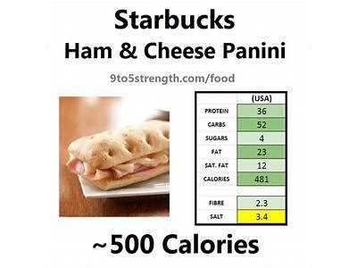 How many calories are in panini italian (bison) - calories, carbs, nutrition