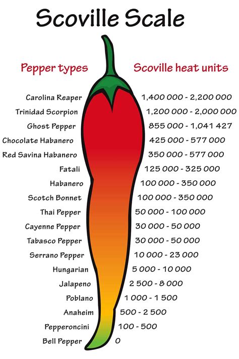 How many calories are in peppers, serrano, raw - calories, carbs, nutrition