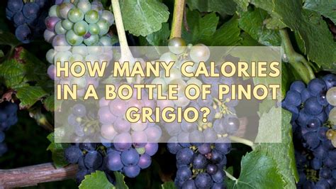 How many calories are in pinot grigio butter - calories, carbs, nutrition