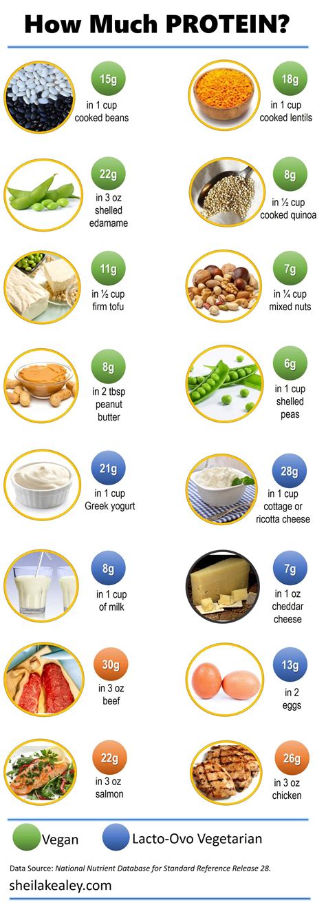 How many calories are in protein rich - calories, carbs, nutrition