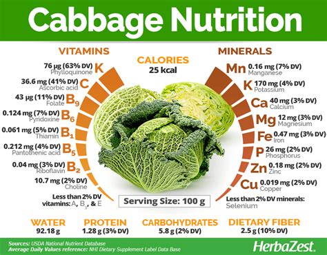 How many calories are in red cabbage - calories, carbs, nutrition