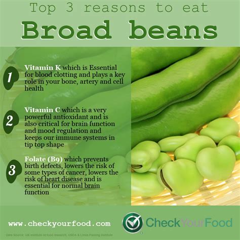 How many calories are in roasted broadbeans - calories, carbs, nutrition