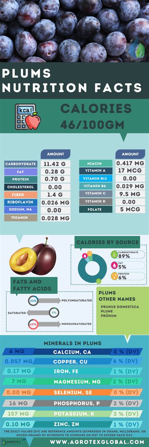 How many calories are in roasted plums (17827.0) - calories, carbs, nutrition