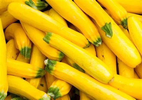 How many calories are in roasted yellow squash - calories, carbs, nutrition