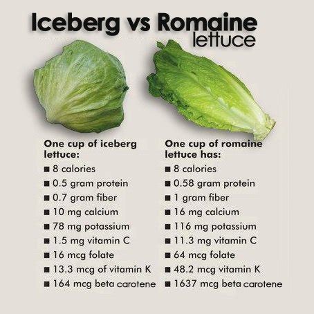 How many calories are in romaine, iceberg & mesclun - calories, carbs, nutrition