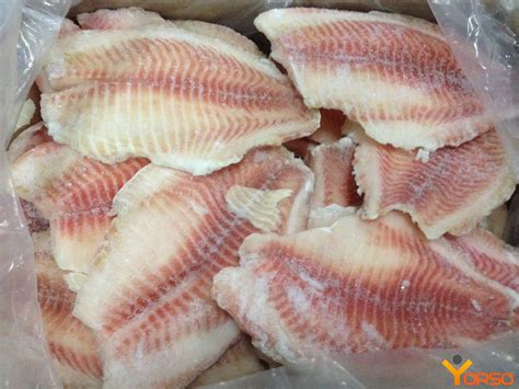 How many calories are in sand tilapia 5-7 oz fresh simply grilled - calories, carbs, nutrition