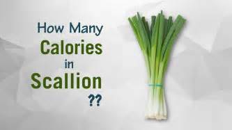 How many calories are in scallion mash - calories, carbs, nutrition
