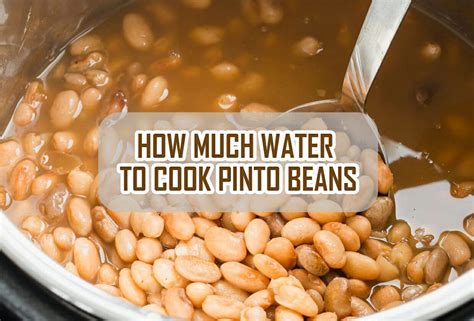 How many calories are in seasoned pinto beans (41618.1) - calories, carbs, nutrition