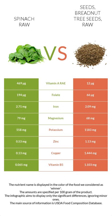 How many calories are in seeds, breadnut tree seeds, raw - calories, carbs, nutrition