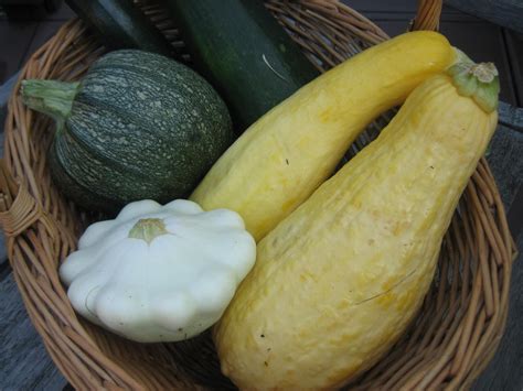 How many calories are in southeast asian coconut zucchini - calories, carbs, nutrition