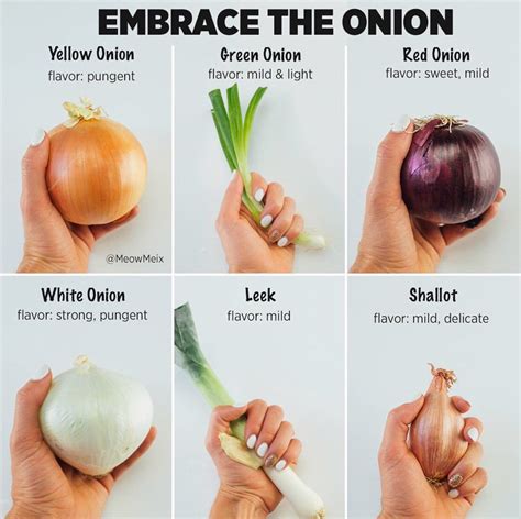 How many calories are in sweet onion - calories, carbs, nutrition