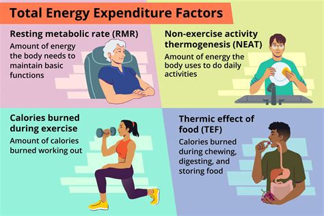 How many calories are in total energy plus - calories, carbs, nutrition