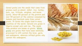 How many calories are in triticale - calories, carbs, nutrition