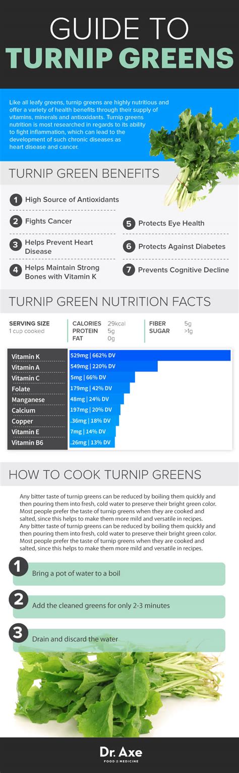 How many calories are in turnip greens, vegetarian - calories, carbs, nutrition