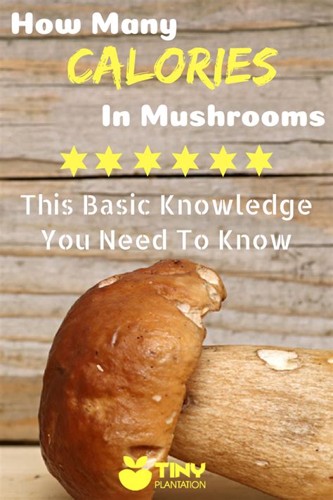 How many calories are in wild mushroom filling - calories, carbs, nutrition