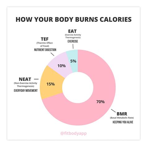 How many calories are in work - calories, carbs, nutrition